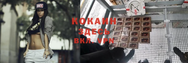 jwh Алзамай