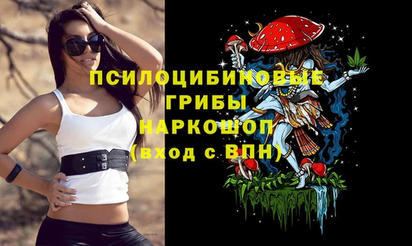 прущий лед Абаза