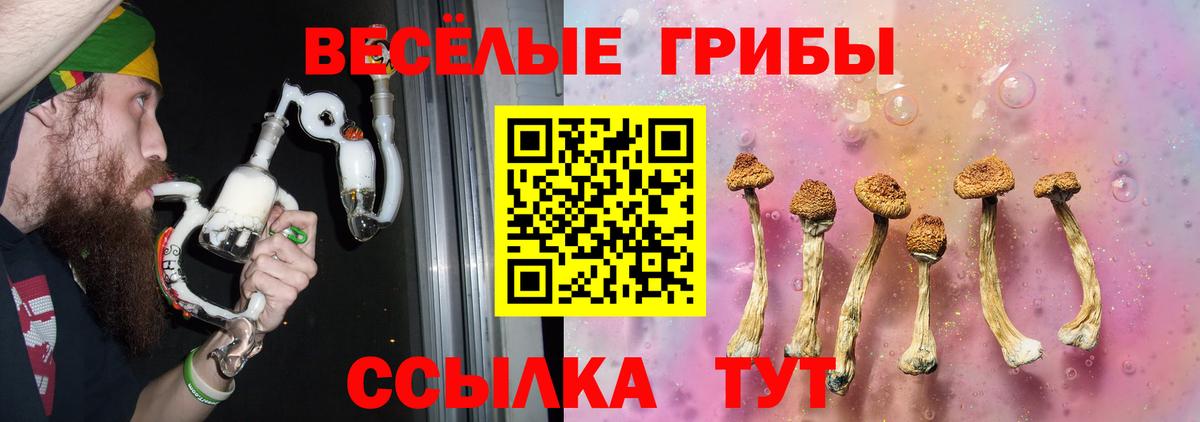 Псилоцибиновые грибы Magic Shrooms  Вход с VPN  Мыски 